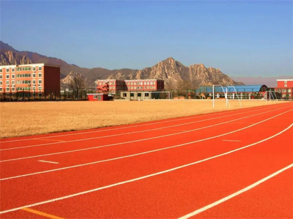 南平市人造草坪塑胶跑道材料 - 方案